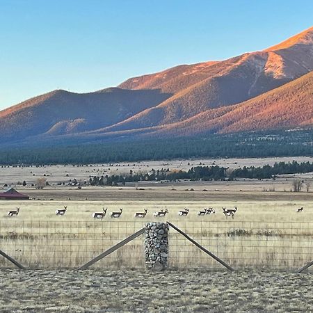 Buena Vista Mountain Retreat - Ultimate Privacy With Spa & Unbeatable Views Екстериор снимка