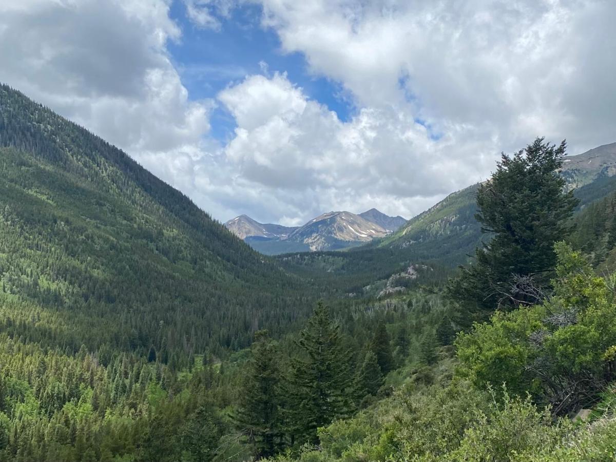 Buena Vista Mountain Retreat - Ultimate Privacy With Spa & Unbeatable Views Екстериор снимка